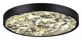 Накладной светильник Odeon Light Bergi черный арт. 5064/40L