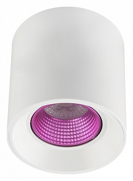 Накладной светильник Denkirs DK3020WPI  арт. DK3090-WH+PI