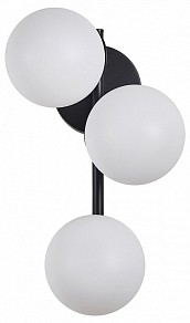 Бра Zortes Blume черный арт. ZRS.1777.03