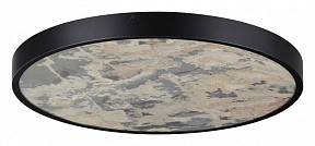Накладной светильник Odeon Light Bergi черный арт. 5064/50L