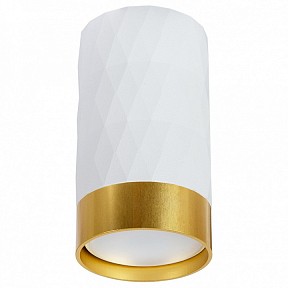 Накладной светильник Arte Lamp Fang 1 белый арт. A5558PL-1WH