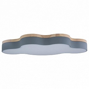 Накладной светильник Loft it Axel 4 серый арт. 10005/36 Grey