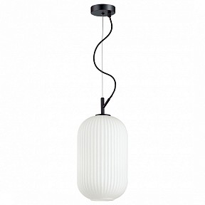 Подвесной светильник Odeon Light Roofi черный арт. 4751/1