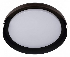 Накладной светильник Loft it Coin черный арт. 10198 Black