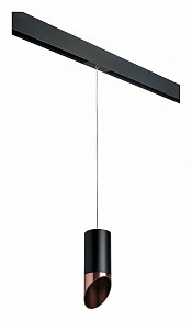Подвесной светильник Lightstar Rullo черный арт. PRORP437130