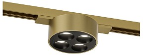 Накладной светильник Denkirs SHINE GRILL латунь арт. DK5772-SB