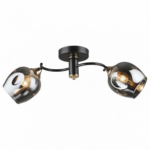 Светильник на штанге Imex MD.5963 черный арт. MD.5963-2-S-COFFEE+FGD
