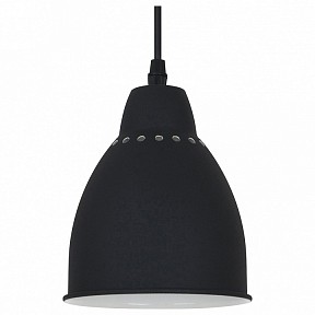 Подвесной светильник Arte Lamp Braccio черный арт. A2054SP-1BK