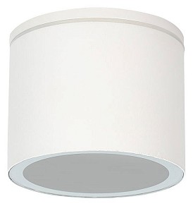 Накладной светильник Arte Lamp Piautos белый арт. A1913PF-1WH