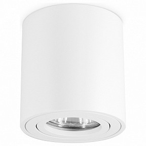 Накладной светильник Ambrella Light TN белый арт. TN22701