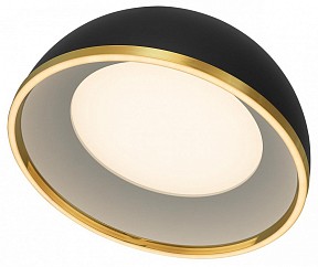 Накладной светильник Citilux FLOOM черный арт. CL736151