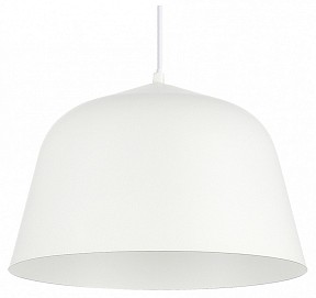 Подвесной светильник EVOLUCE Blank белый арт. SLE1805-503-01