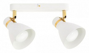 Спот Arte Lamp Fafnir белый арт. A5047PL-2WH