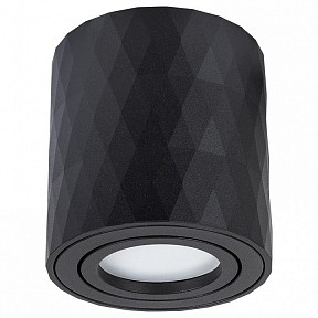 Накладной светильник Arte Lamp Fang 2 черный арт. A5559PL-1BK