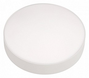 Накладной светильник iLedex Technical Mercury белый арт. 5551-24W-D160-3/4/6K-WH