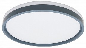 Накладной светильник Эра  белый арт. SPB-6 Opal 86W-3K-6,5K-RC GR