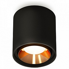 Накладной светильник Ambrella Light XS золото арт. XS7723004