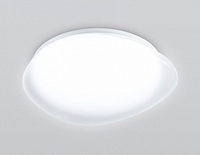 Накладной светильник Ambrella Light ORBITAL белый арт. FZ1601