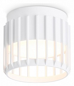 Накладной светильник Ambrella Light TN белый арт. TN71151