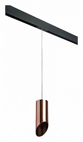 Подвесной светильник Lightstar Rullo черный арт. PRORP43030