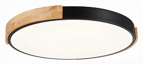 Накладной светильник EVOLUCE Delia дерево арт. SLE201342-01