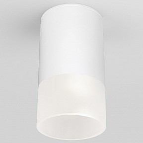 Накладной светильник Elektrostandard Light LED белый арт. 35139/H белый