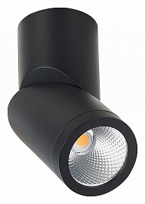 Светильник на штанге ST-Luce ST650 черный арт. ST650.442.10