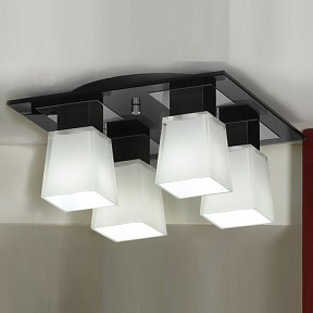 Накладной светильник Lussole Lente металл арт. LSC-2507-04