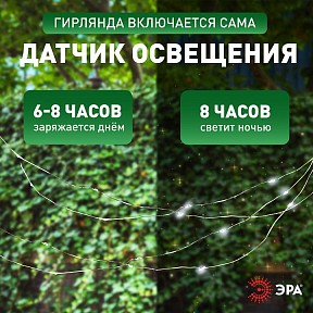 Гирлянда Эра   арт. ERASF22-17