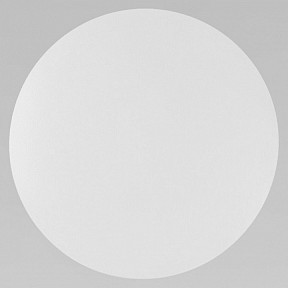 Накладной светильник TK Lighting Luna  арт. 6009 Luna White