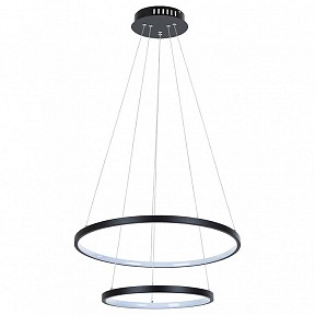 Подвесной светильник Arte Lamp Frodo черный арт. A2197SP-2BK