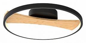 Накладной светильник Lightstar Lodi черный арт. 723027