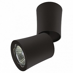 Светильник на штанге Lightstar Rotonda черный арт. 214457