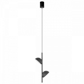 Подвесной светильник Loft it Mons черный арт. 10335 Black