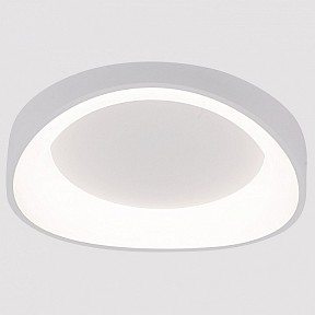 Накладной светильник Arte Lamp None белый арт. A2698PL-48WH