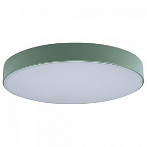 Накладной светильник Loft it Axel 1 яркие арт. 10002/24 Green