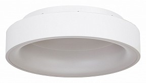 Накладной светильник MyFar Shannon белый арт. MR2194-1PL