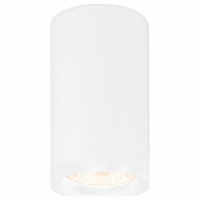 Накладной светильник Ambrella Light TN белый арт. TN213133