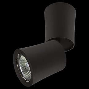 Светильник на штанге Lightstar Rotonda черный арт. 214457