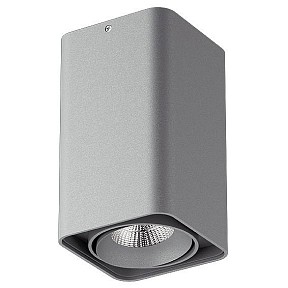 Накладной светильник Lightstar Monocco серый арт. 052139-IP65