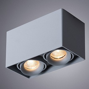 Накладной светильник Arte Lamp Pictor серый арт. A5654PL-2GY