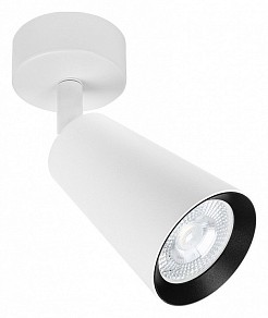 Спот Arte Lamp Cintura белый арт. A2352PL-1WH
