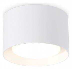 Накладной светильник Ambrella Light TN белый арт. TN70812