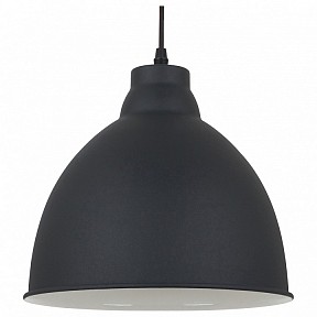 Подвесной светильник Arte Lamp Braccio черный арт. A2055SP-1BK