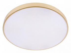 Накладной светильник Loft it Flims золото арт. 10228/B