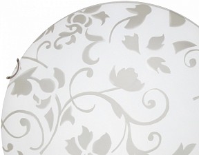 Накладной светильник Arte Lamp Ornament металл арт. A4120PL-2CC