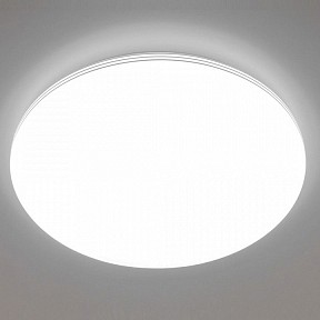 Накладной светильник Citilux Симпла белый арт. CL714680G