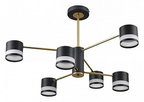 Люстра на штанге Lumion Lanika латунь арт. 8240/6C