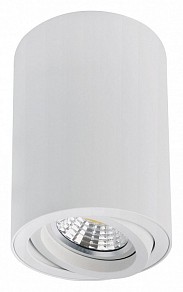 Накладной светильник Arte Lamp Sentry белый арт. A1566PL-1WH