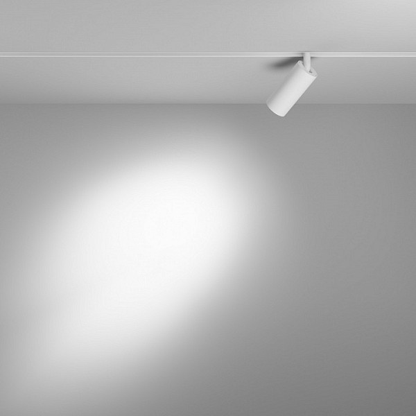 Накладной светильник Maytoni Technical Focus LED белый арт. TR032-4-5WTW-M-DD2-W